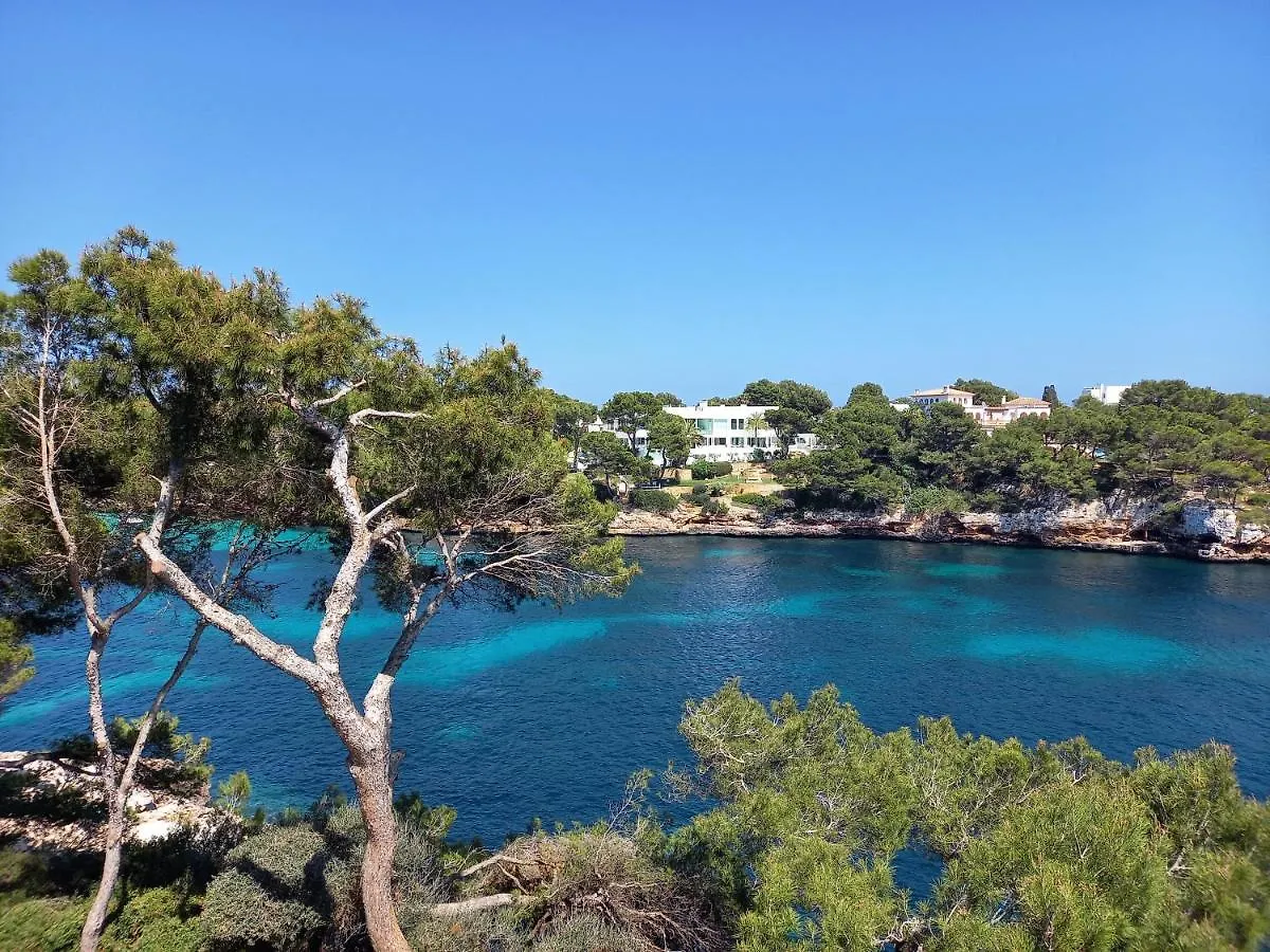Apartment Appartement Ferrera Park Vue Mer Cala Ferrera